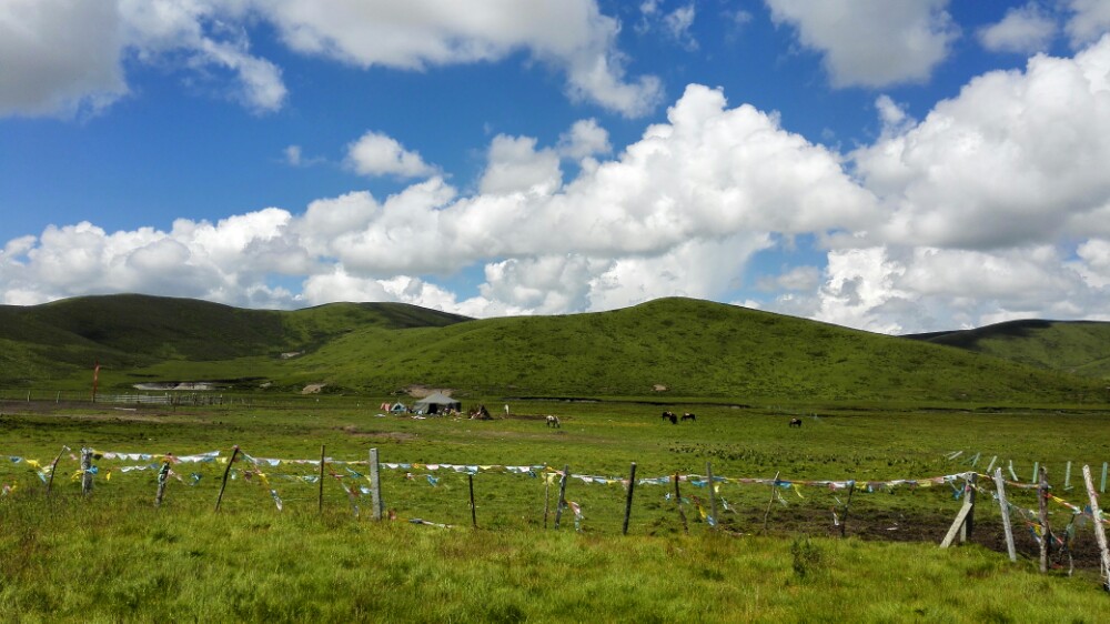 红原—若尔盖大草原旅游景点攻略图