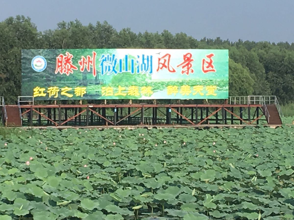 微山湖湿地红荷风景区