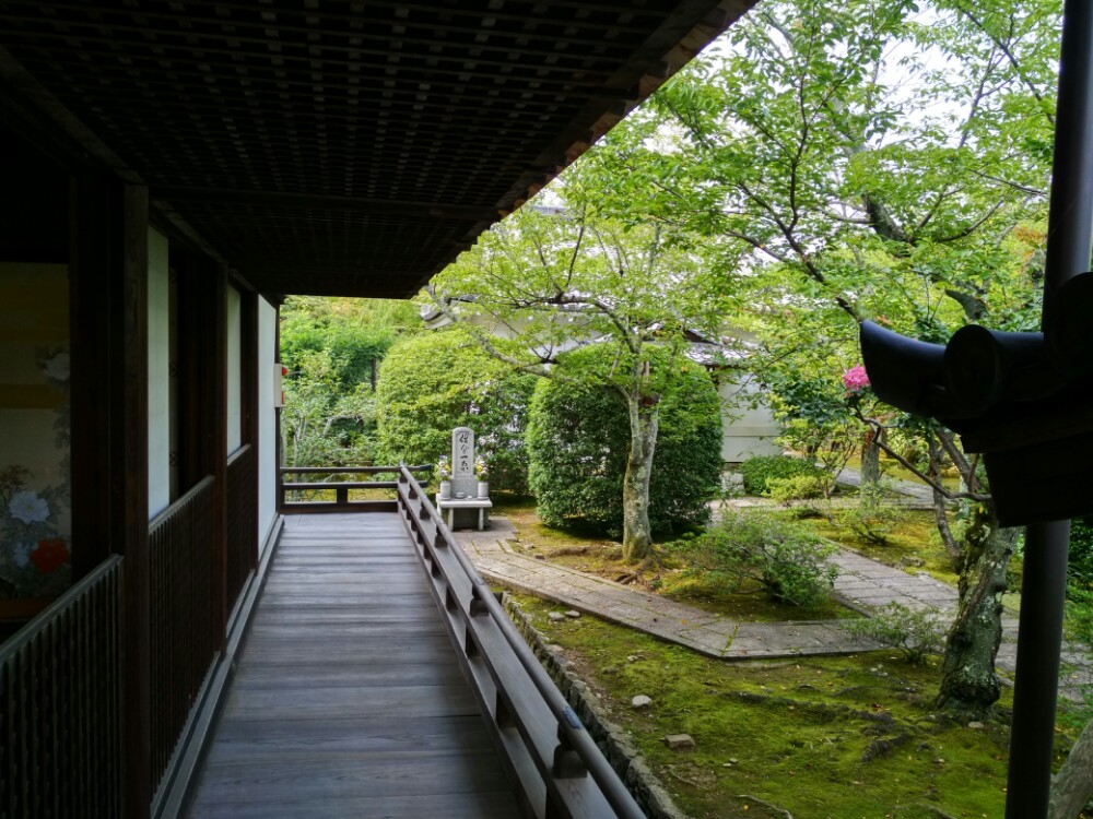 京都天龙寺好玩吗,京都天龙寺景点怎么样_点评_评价