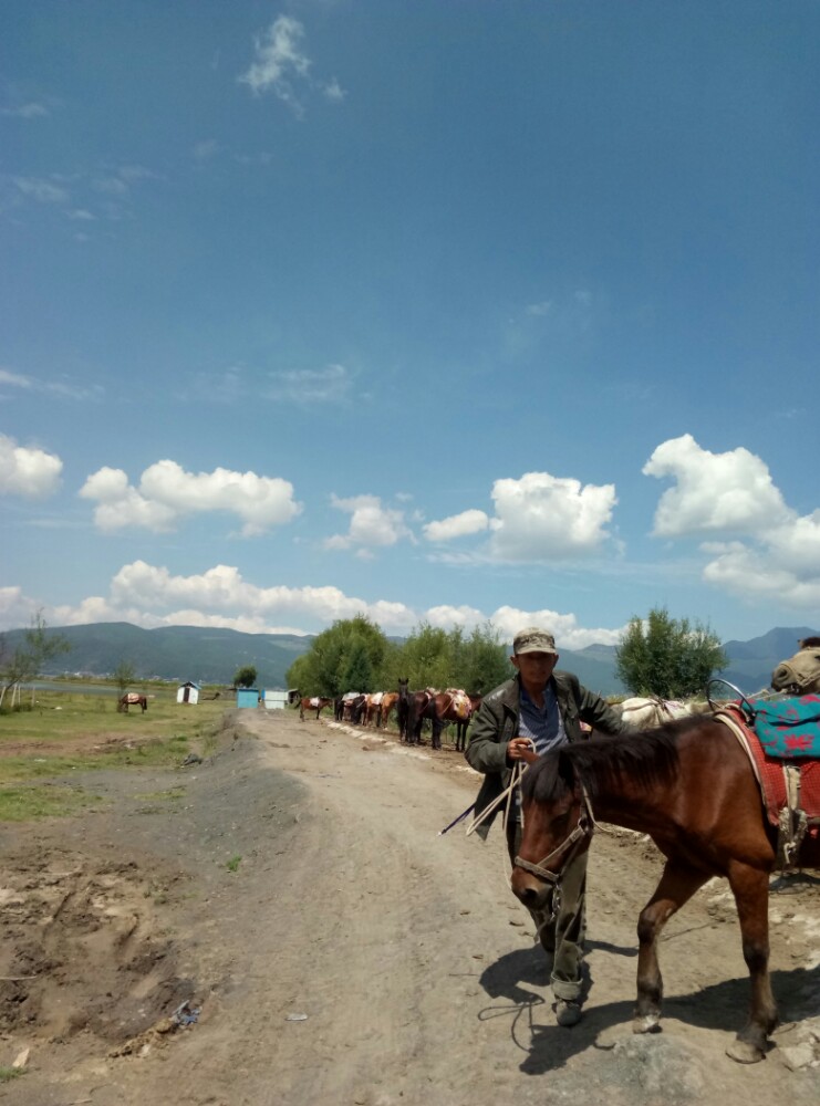 拉市海茶马古道烤鱼