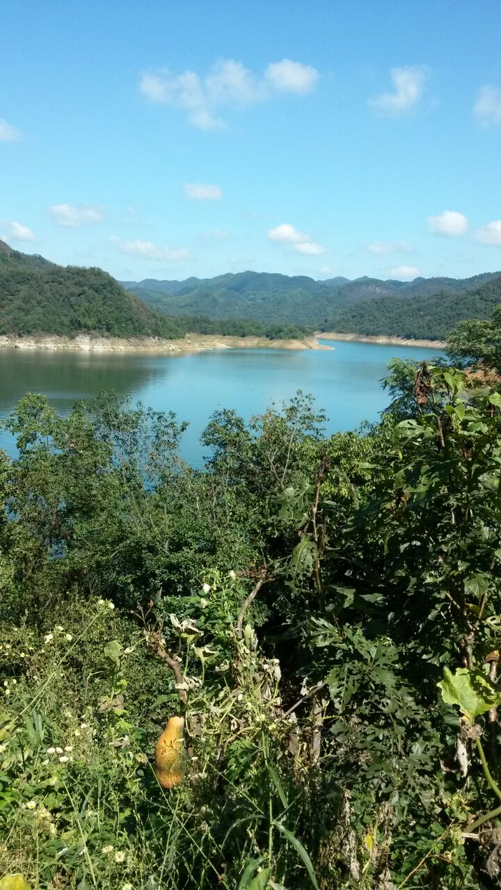 别山湖游船