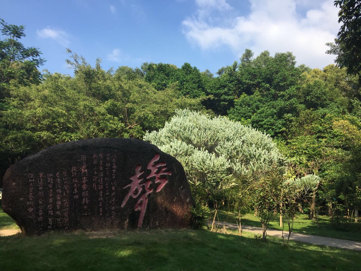 【携程攻略】深圳深圳大学景点,校园里有座杜鹃山,走