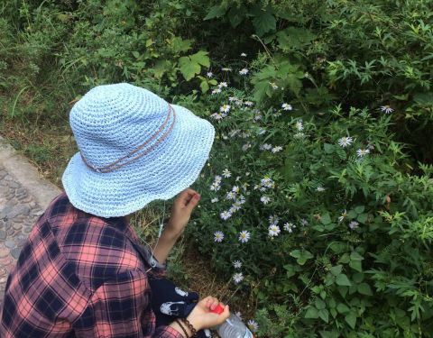 2019贵清山旅游风景区萝卜,定西贵清山旅游风保卫门票2完美攻略60图片
