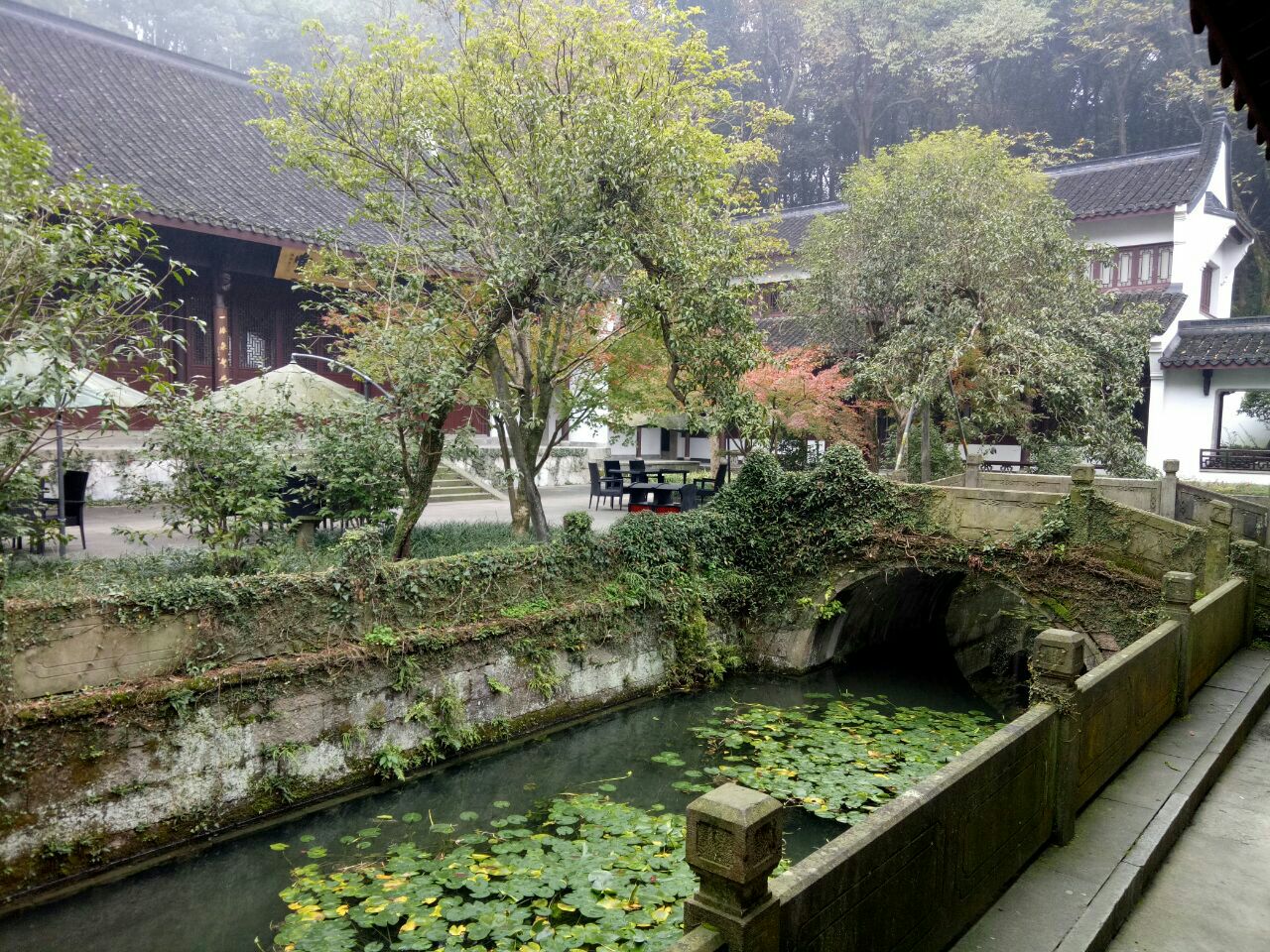 【携程攻略】杭州虎跑公园景点,晚上住在虎跑路一家,.