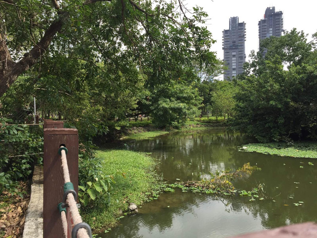 【携程攻略】台北大安森林公园适合朋友出游旅游吗,/.