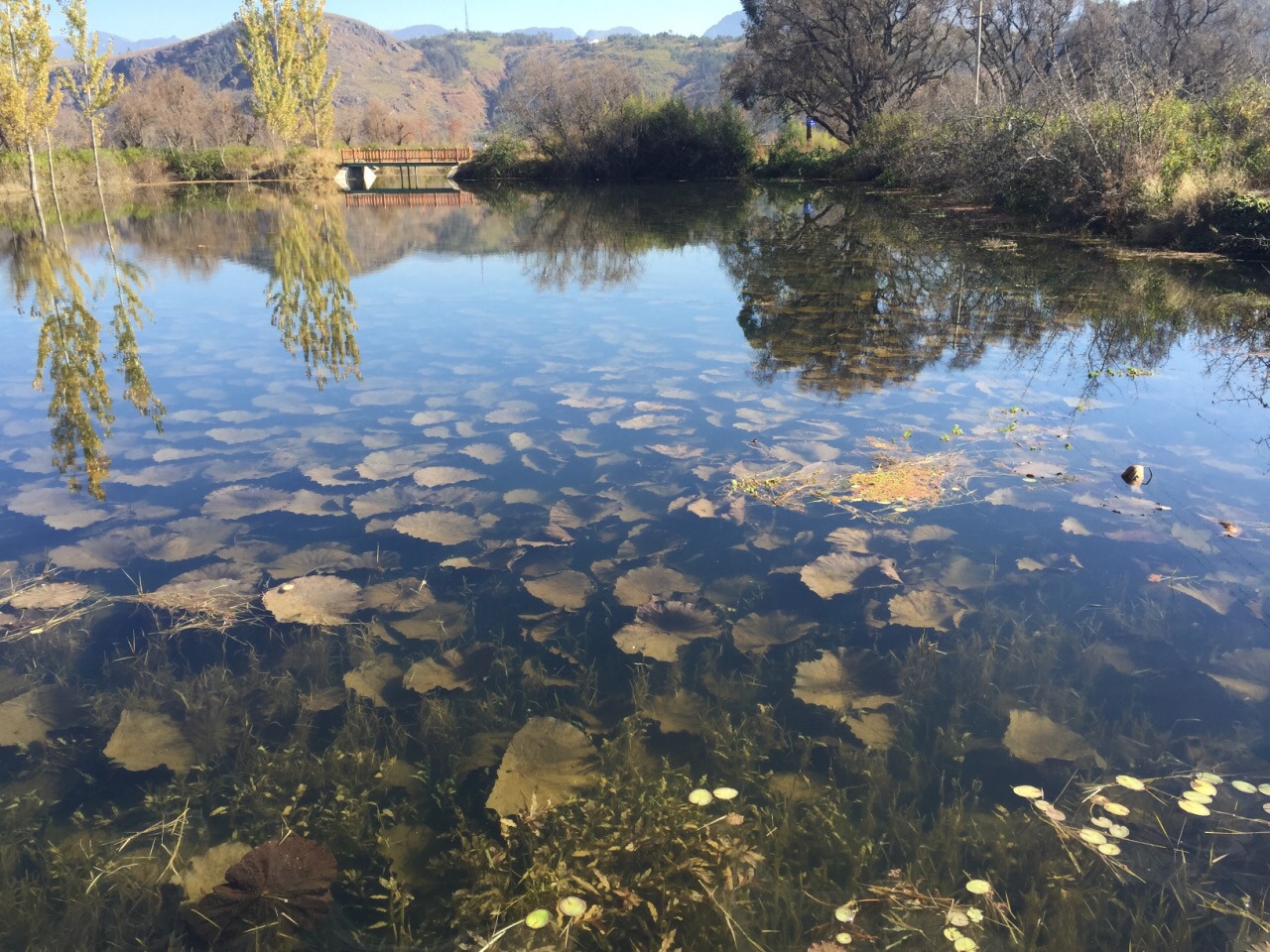 茈碧湖