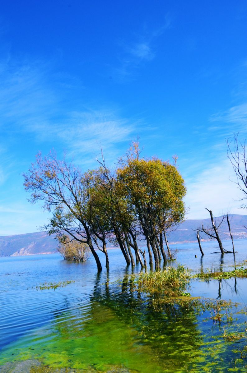 洱海旅游景点攻略图