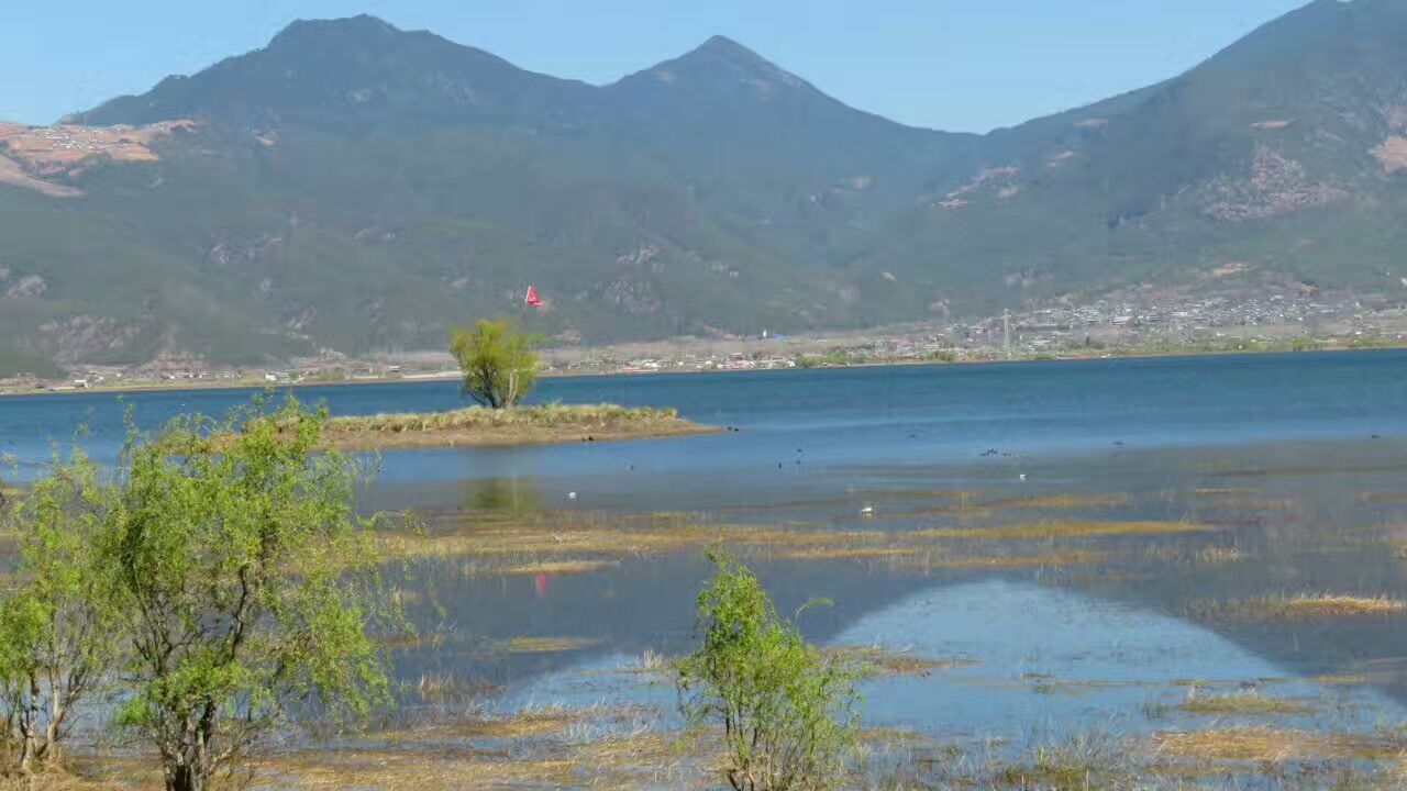 丽江拉市海好玩吗,丽江拉市海景点怎么样_点评_评价