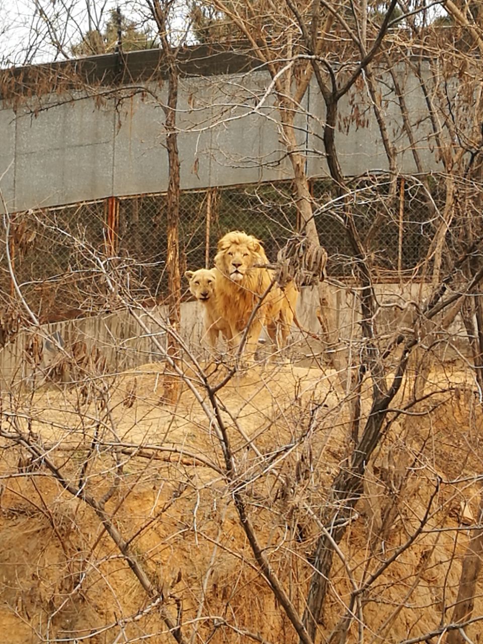 石家庄市动物园