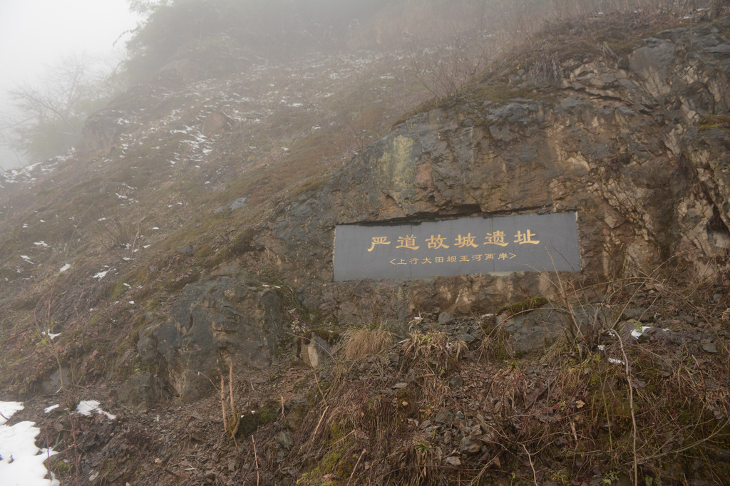 瓦屋山大田坝原始森林