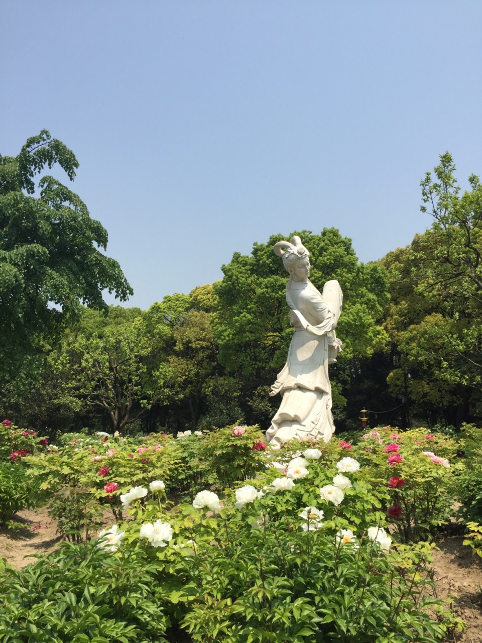 上海植物园旅游景点攻略图