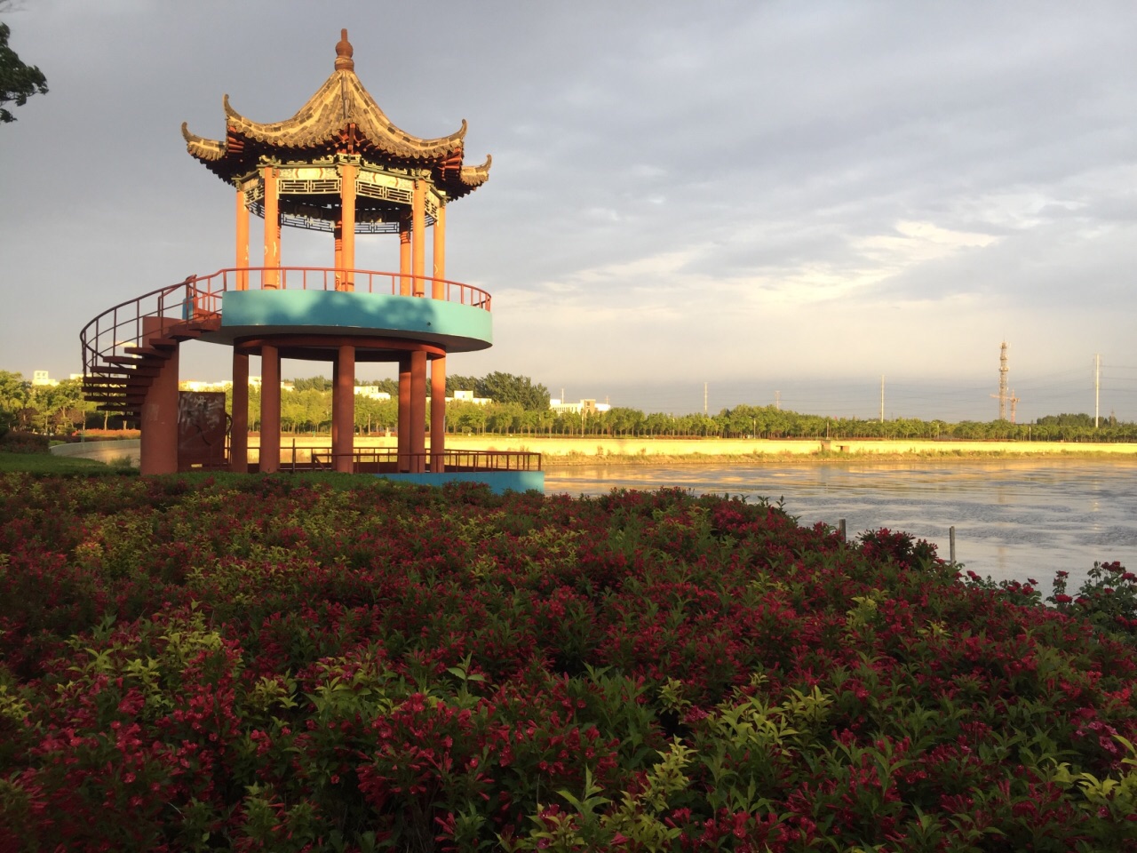 南湖植物园,高密南湖植物园攻略/地址/图片/门票