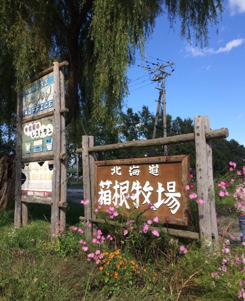 【携程攻略】千岁箱根牧场景点,风景如画的北海道箱根牧场 乘坐农耕