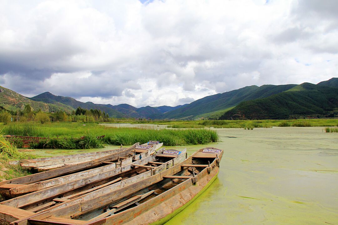 【携程攻略】泸沽湖草海好玩吗,泸沽湖草海景点怎么样