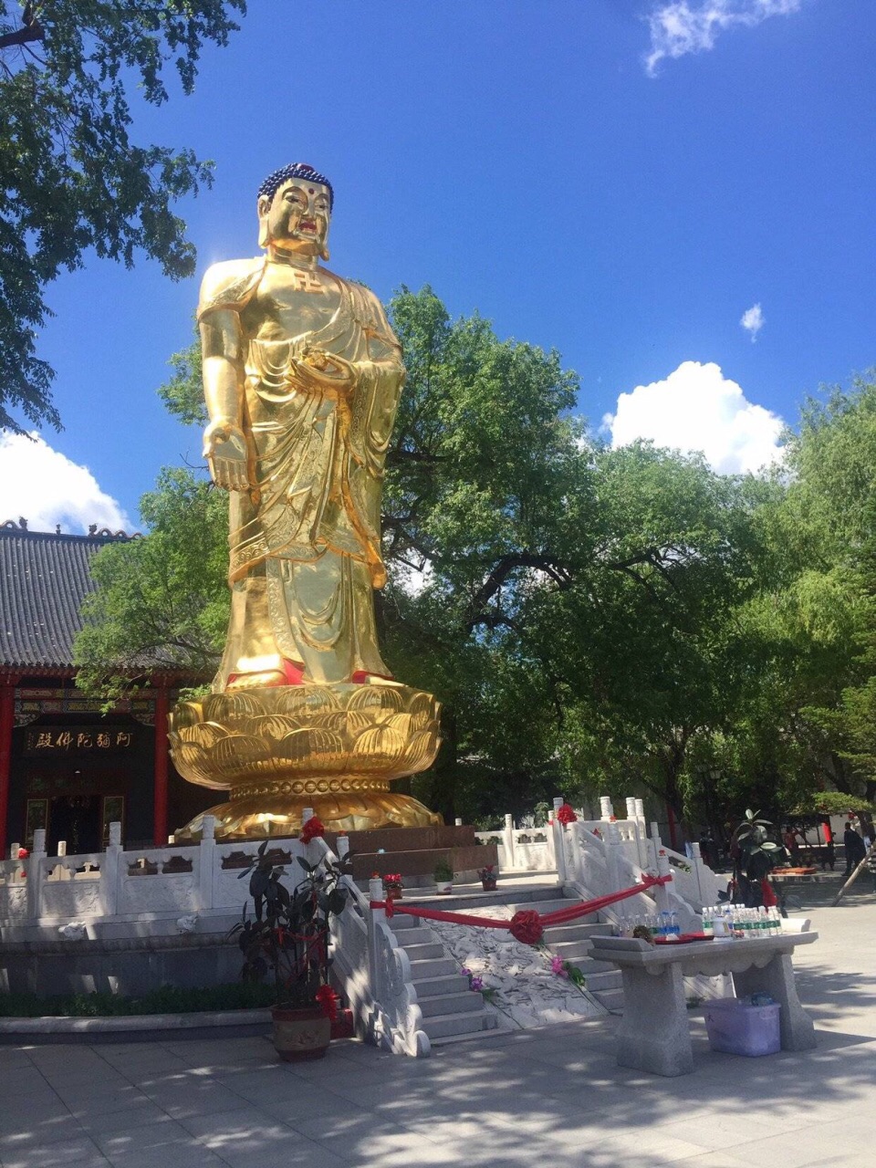2022极乐寺游玩攻略,闺蜜带着去的,没有信仰,就【去哪儿攻略】