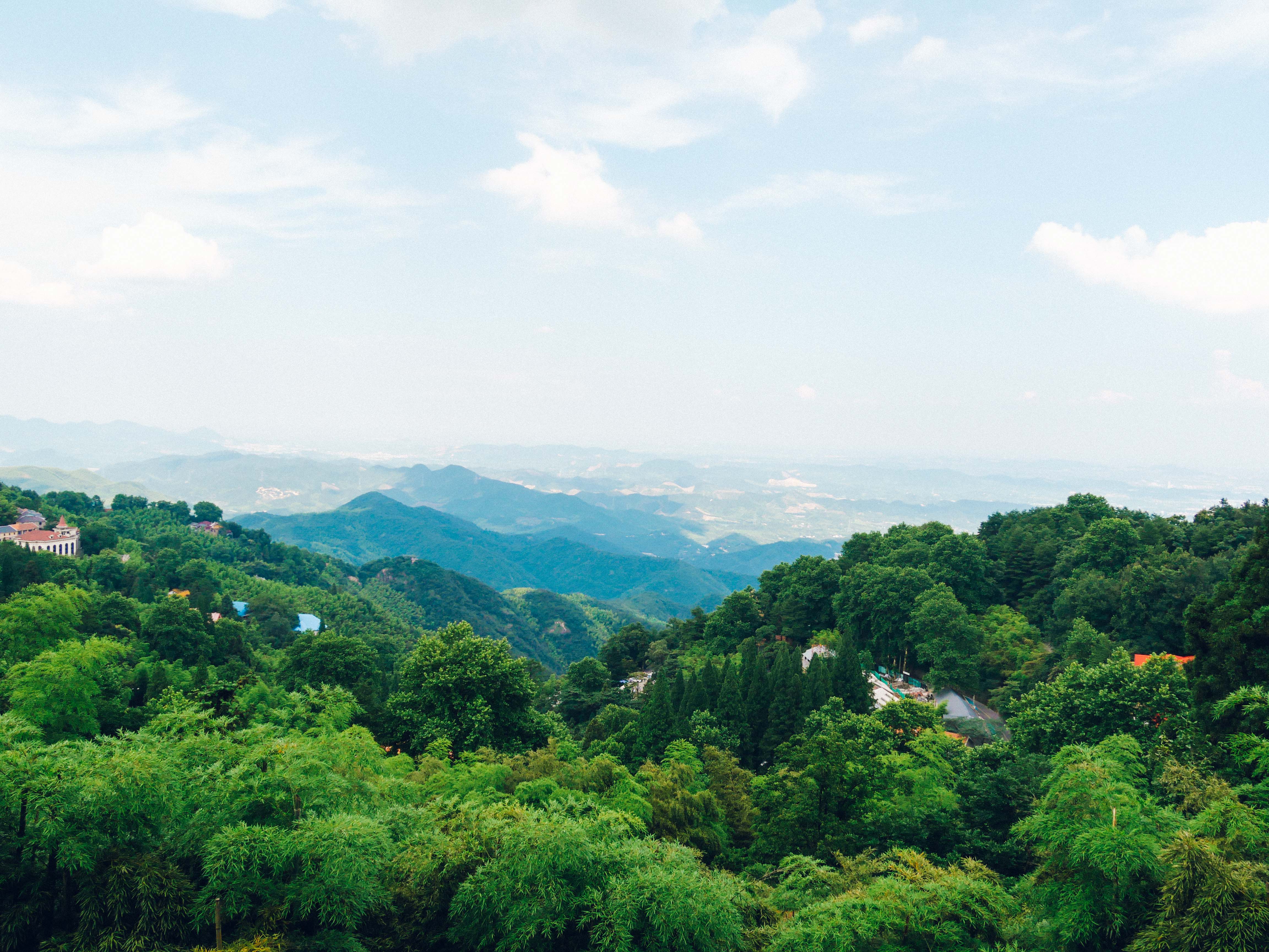 40度逃跑计划——莫干山消暑自驾游攻略 - 杭州游记