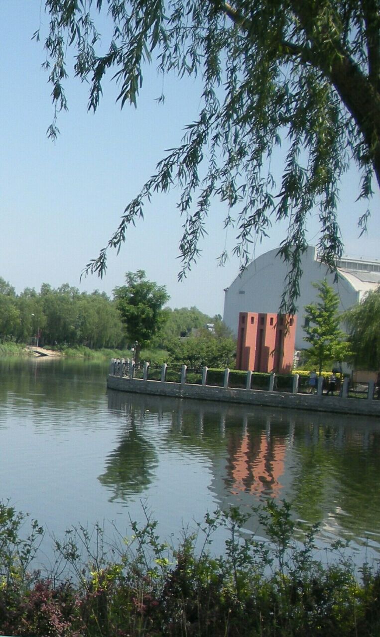 稻香湖自然湿地公园
