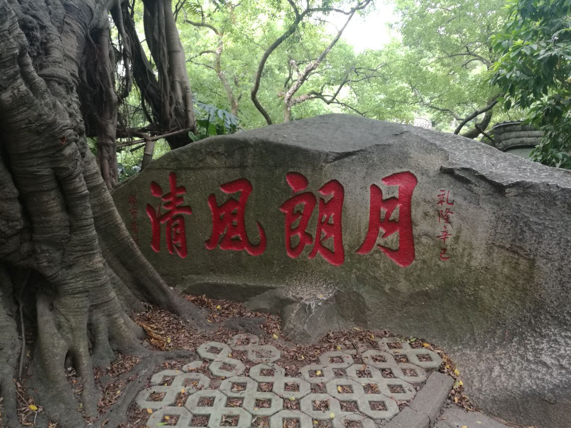 于山,福州三山一水中就有她,在五一广场北面,环境