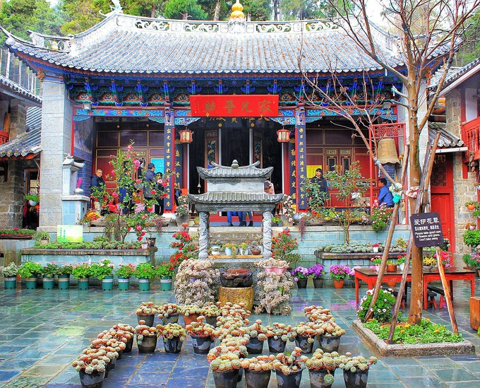 过了感通寺,再往山上走几分钟,便到了寂照庵.