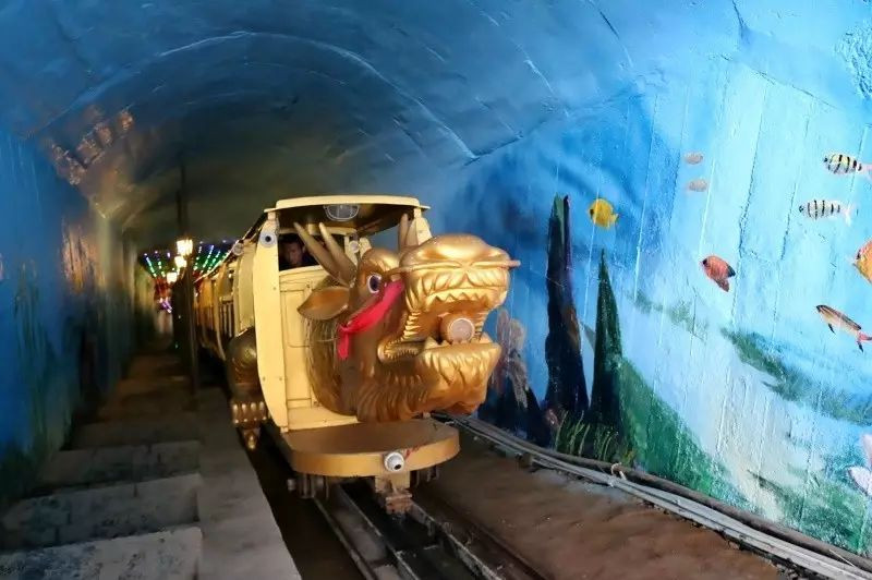 可以步行爬坡出洞,也可乘坐"东海龙王号"小火车,平日票价10元/位.