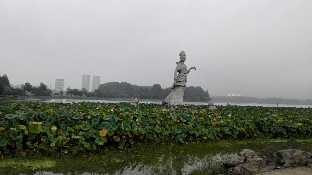 南京莲花广场攻略,南京莲花广场门票/游玩攻略/地址