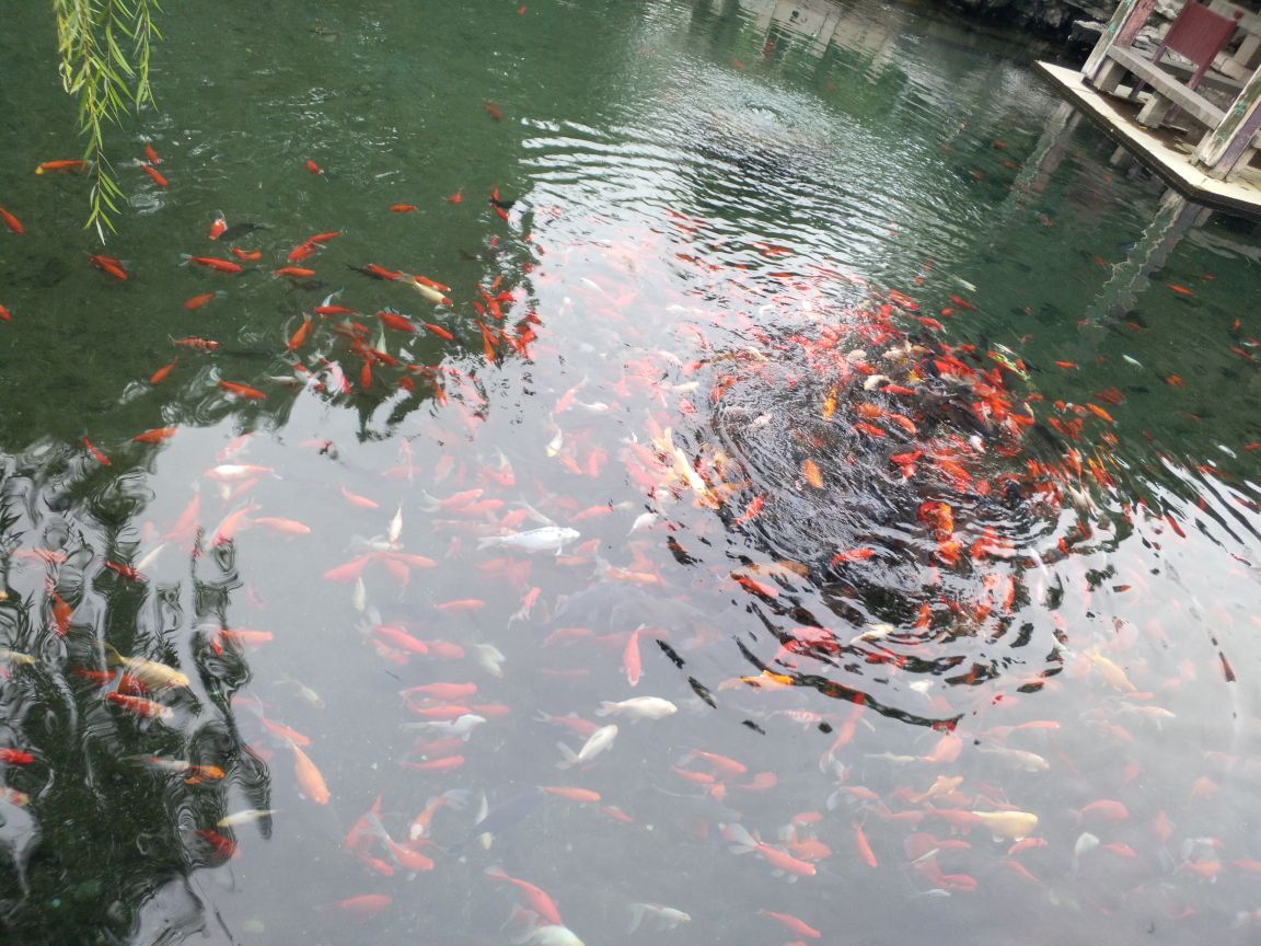 螺丝泉