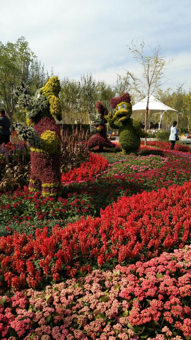 银川花博会攻略,银川花博会门票/游玩攻略/地址/图片