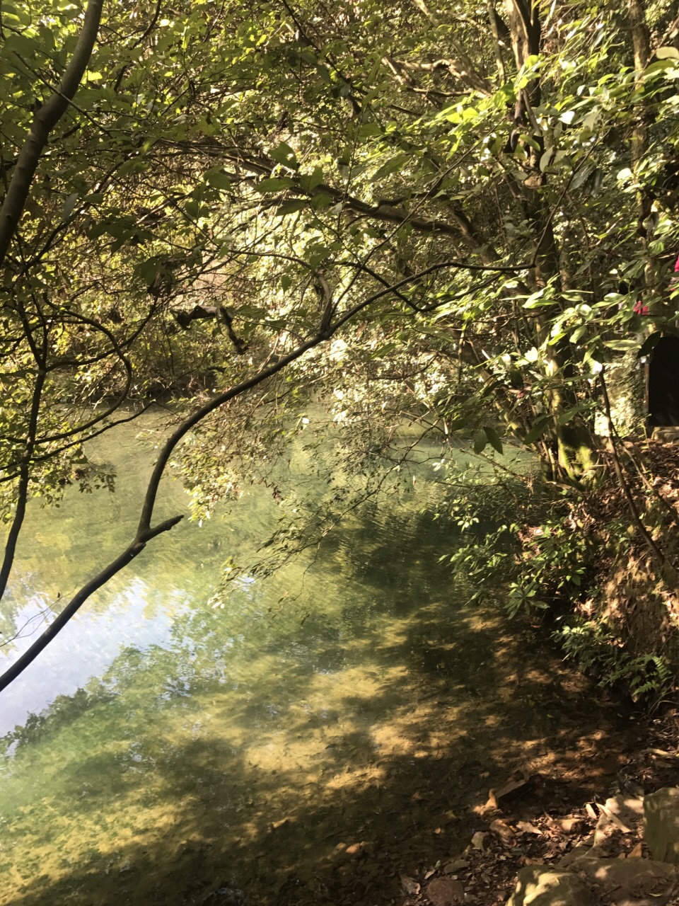 九溪烟树旅游景点攻略图