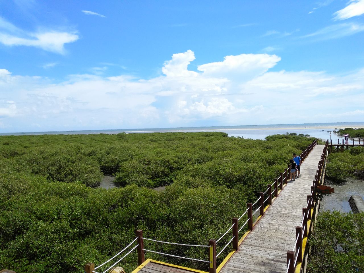 北海金海湾红树林生态旅游区