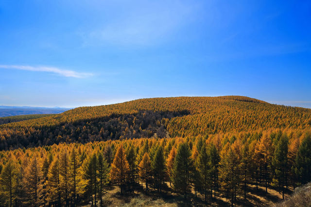 位于森林公园阴河景区,为一孤立巨岩,形如