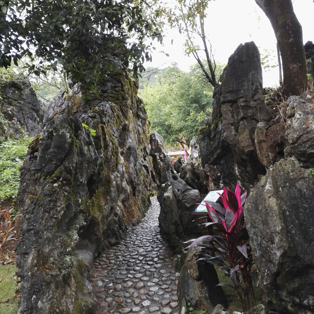 神峰关生态旅游度假区