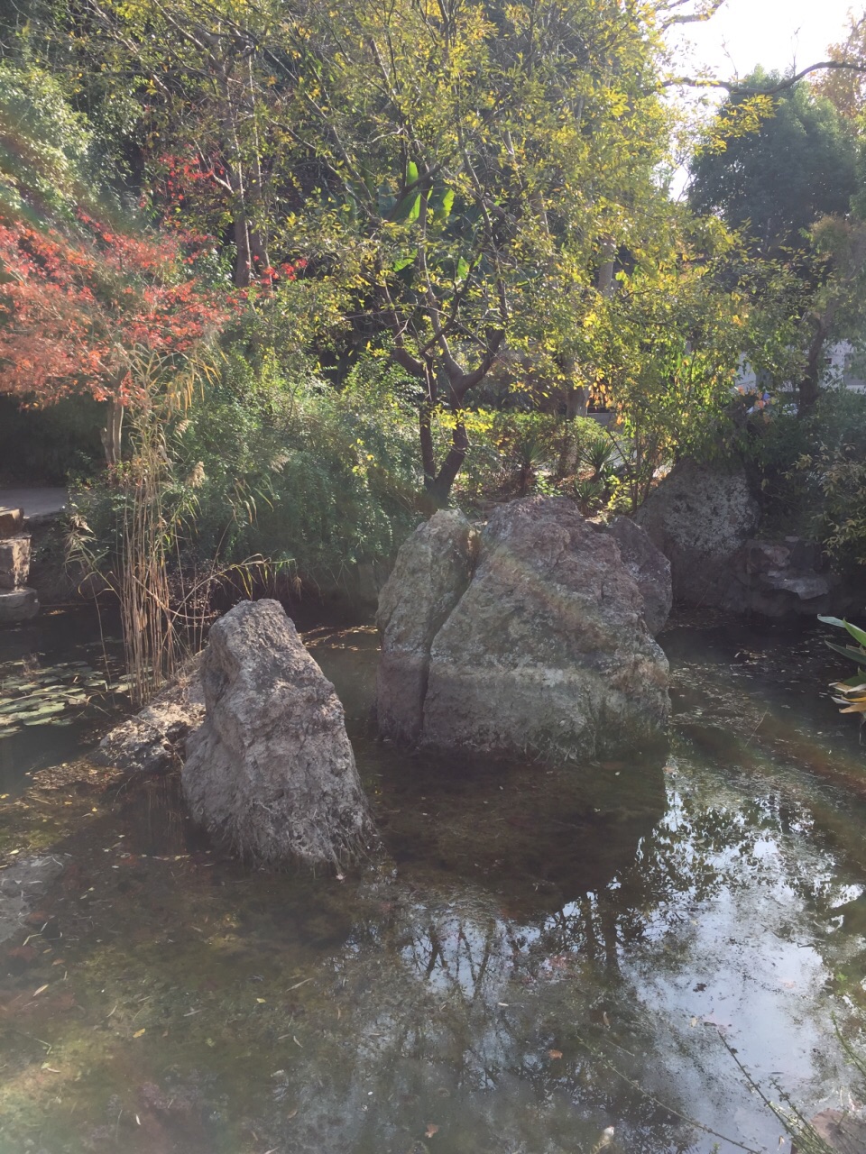 也叫"恨石,北固山大门口的景点,还未进北固山景区,不需要买门票就能