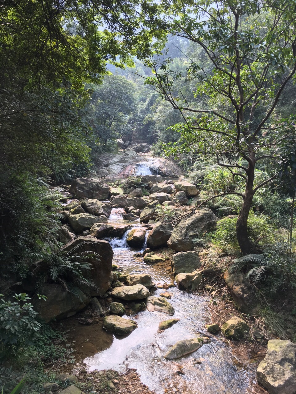 南海湾森林生态园