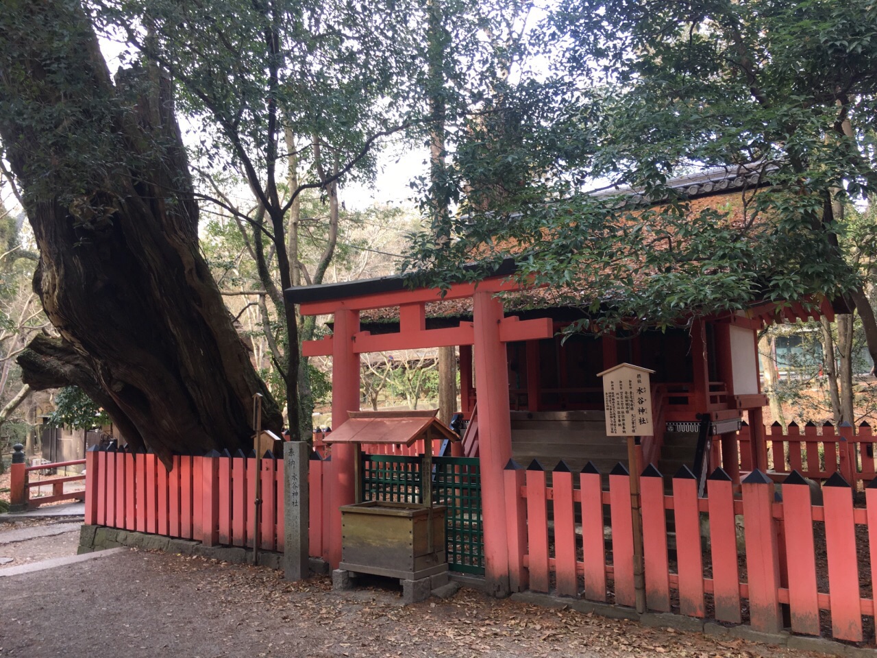 东大寺