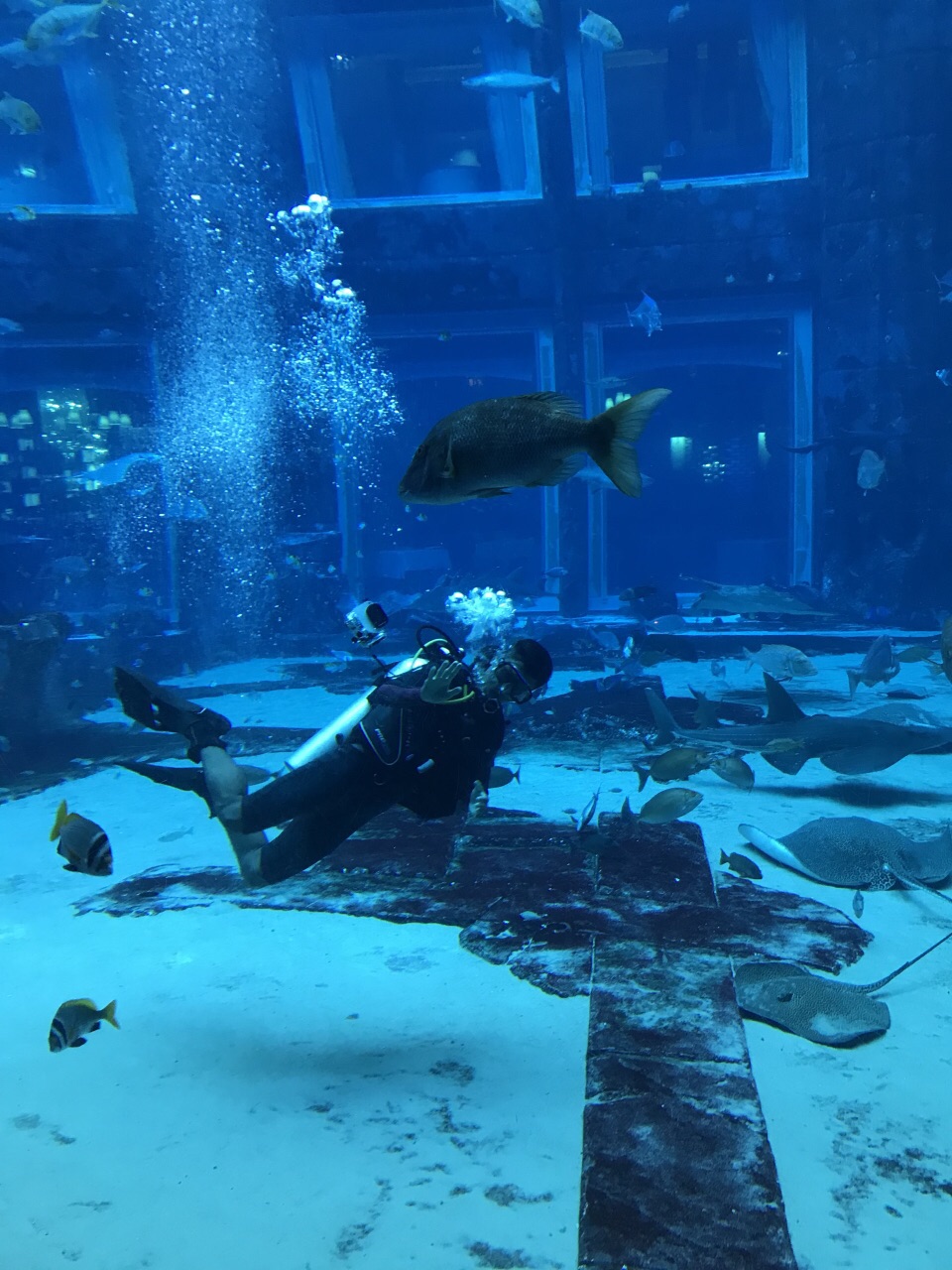 失落的空间水族馆