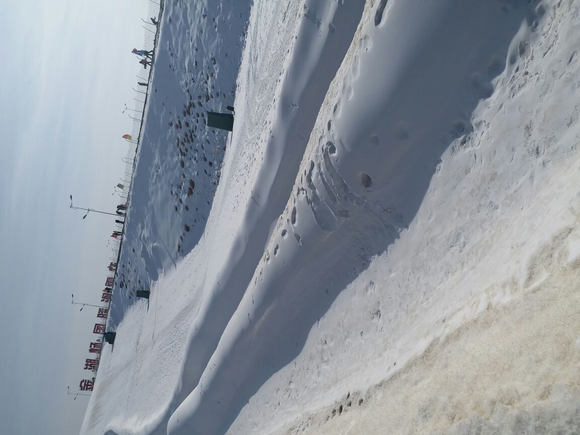 金湖杨国际滑雪场