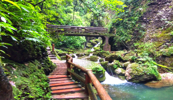 那一年"川"梭中的回忆:足迹四川青城山—四川青城山前山后山,老君阁