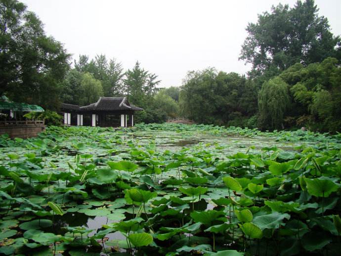 湖州莲花庄攻略,湖州莲花庄门票/游玩攻略/地址/图片