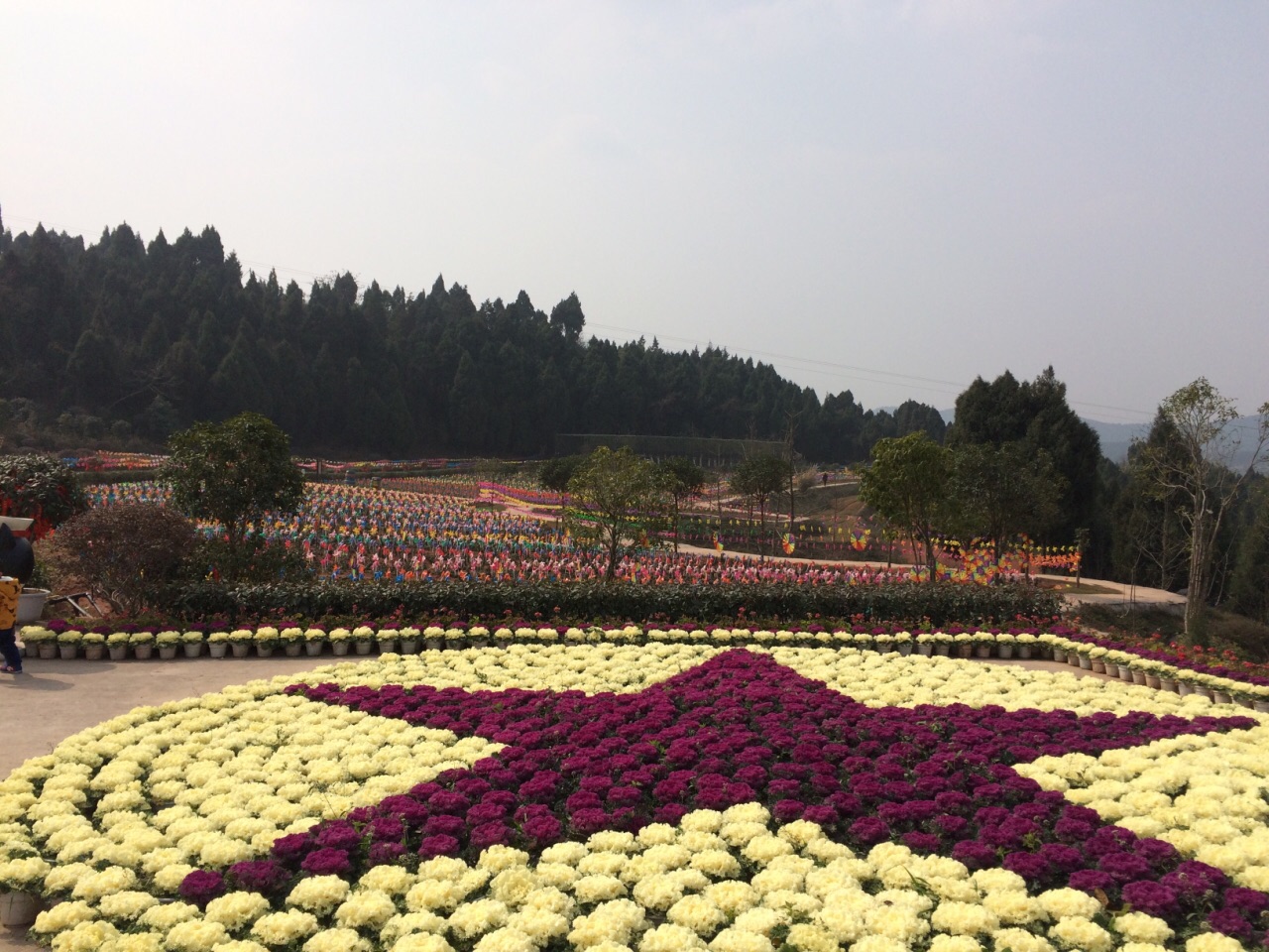 德阳中国香山寿香谷攻略,德阳中国香山寿香谷门票/游玩攻略/地址/图片