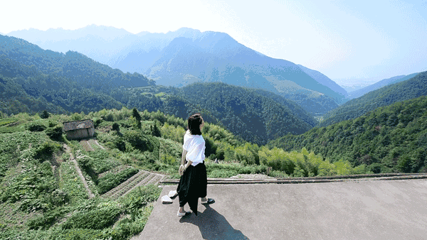 飞茑集民宿│蕾拉小姐:我迷上的山中小屋