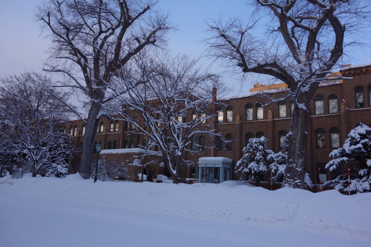 北海道大学