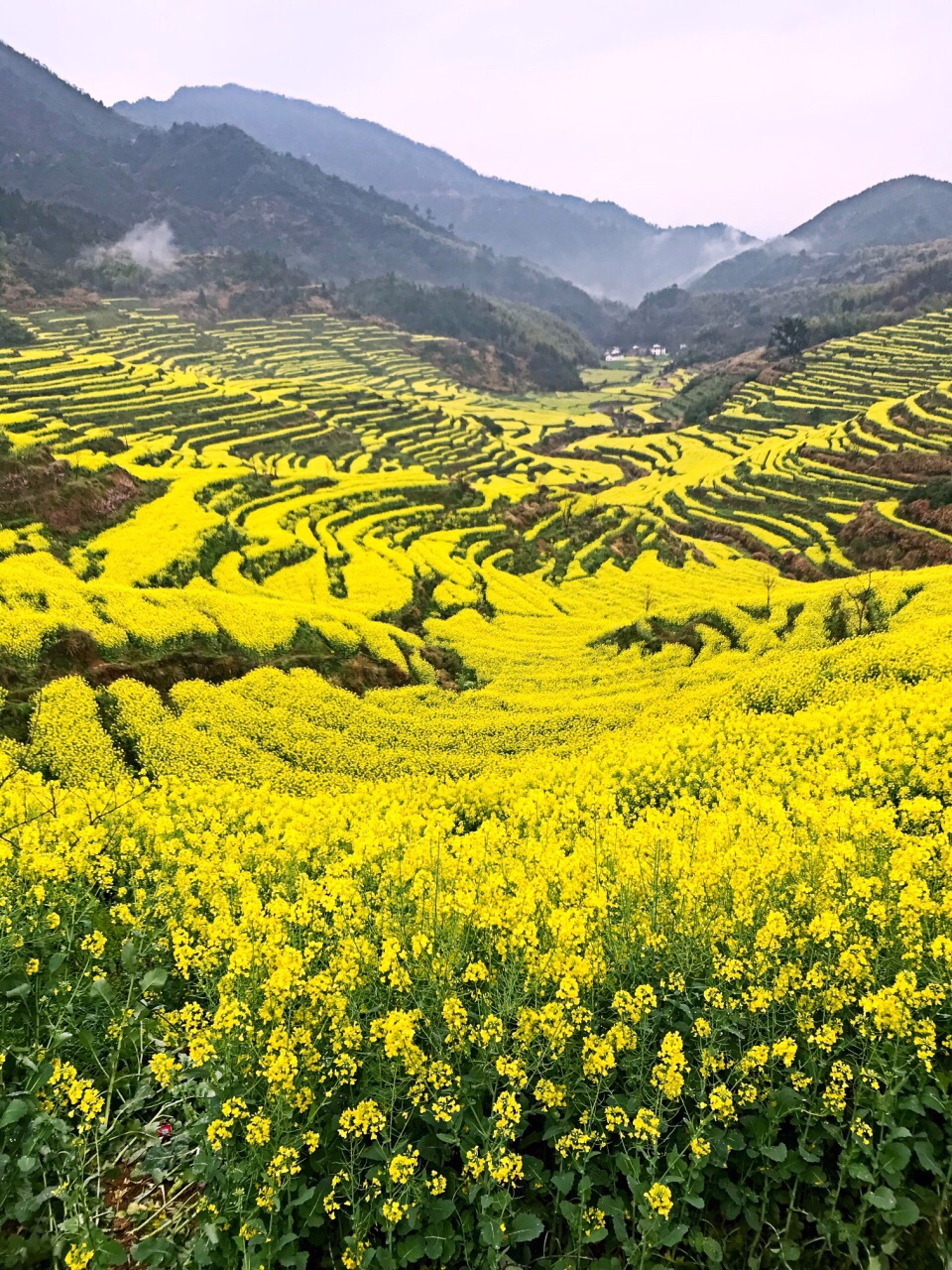 婺源篁岭旅游景点攻略图