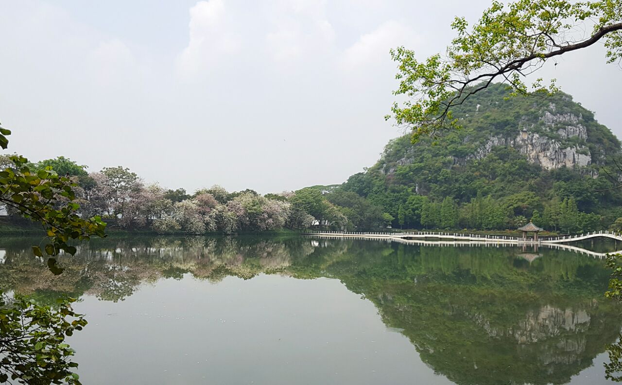 肇庆七星岩好玩吗,肇庆七星岩景点怎么样_点评_评价