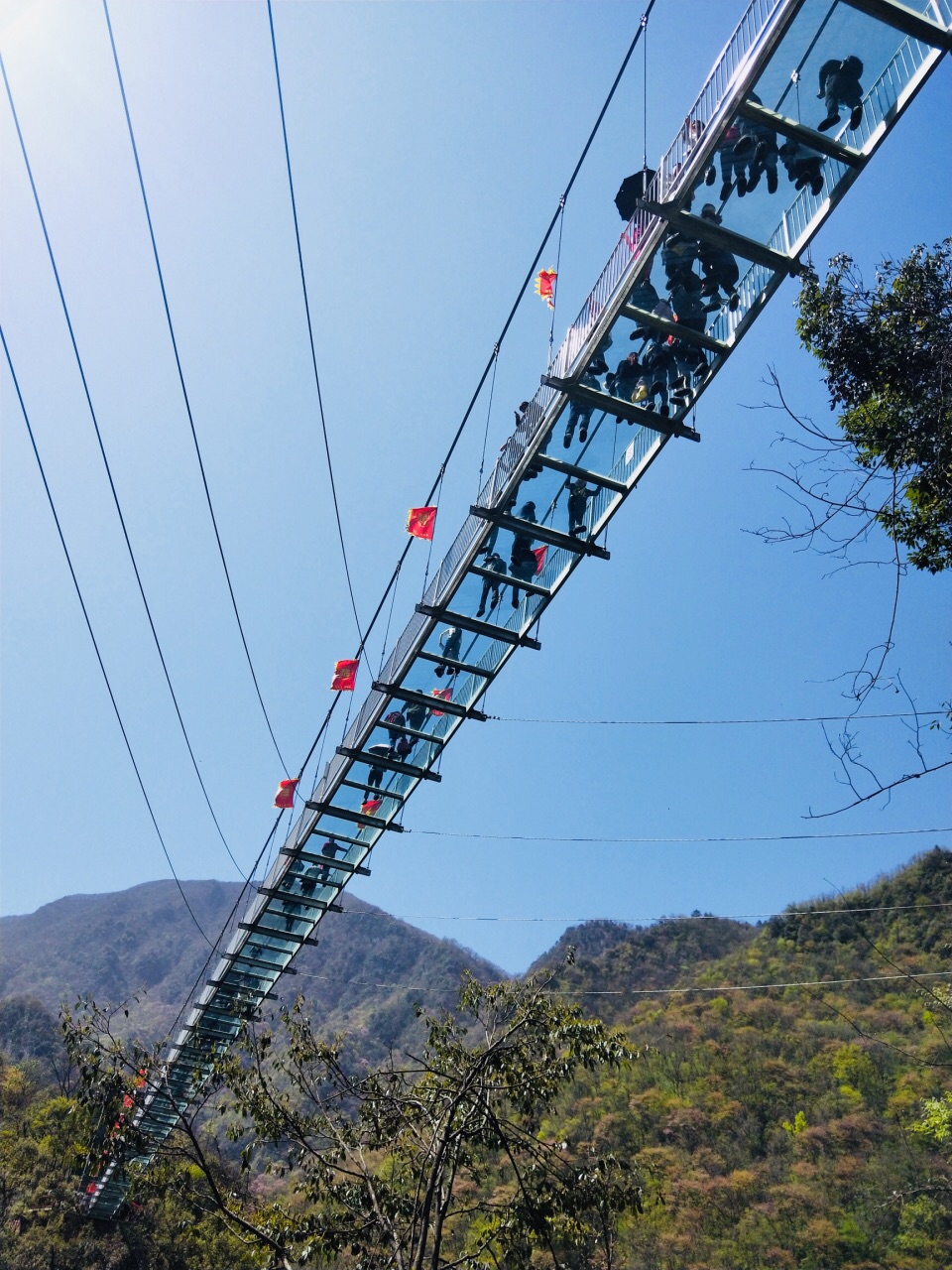 风景很美,现在季节去玩正当时,不会很热,山里面很凉快,玻璃栈道也很