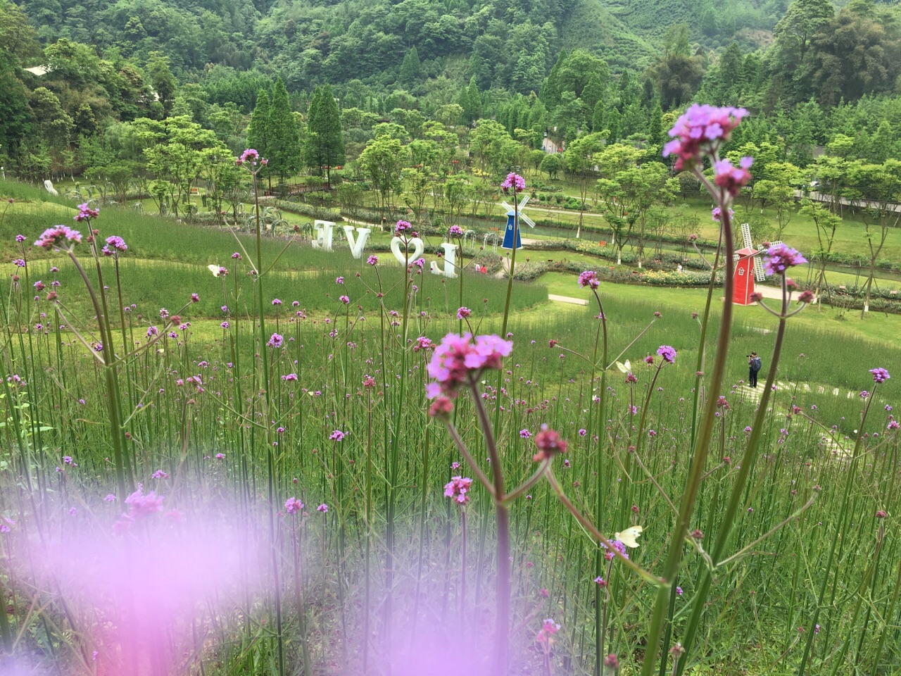 大邑天府花溪谷好玩吗,大邑天府花溪谷景点怎么样