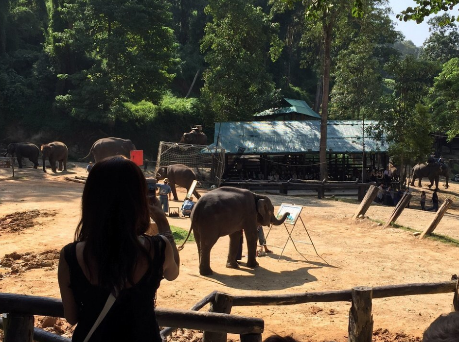 洛柯寺旅游景点攻略图