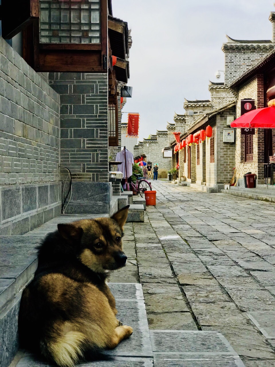 长临河老街旅游景点攻略图