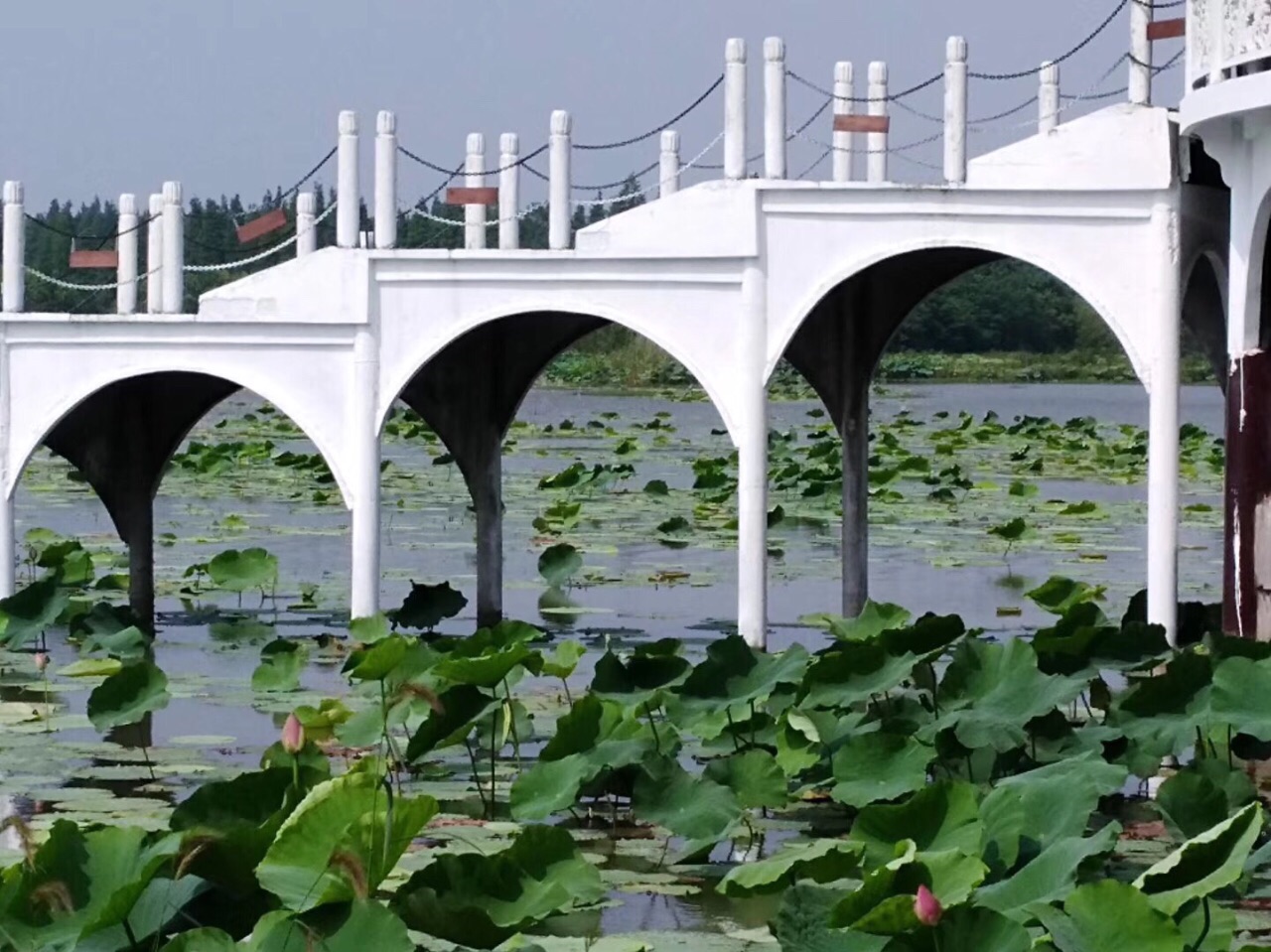 洪湖生态旅游风景区旅游景点攻略图