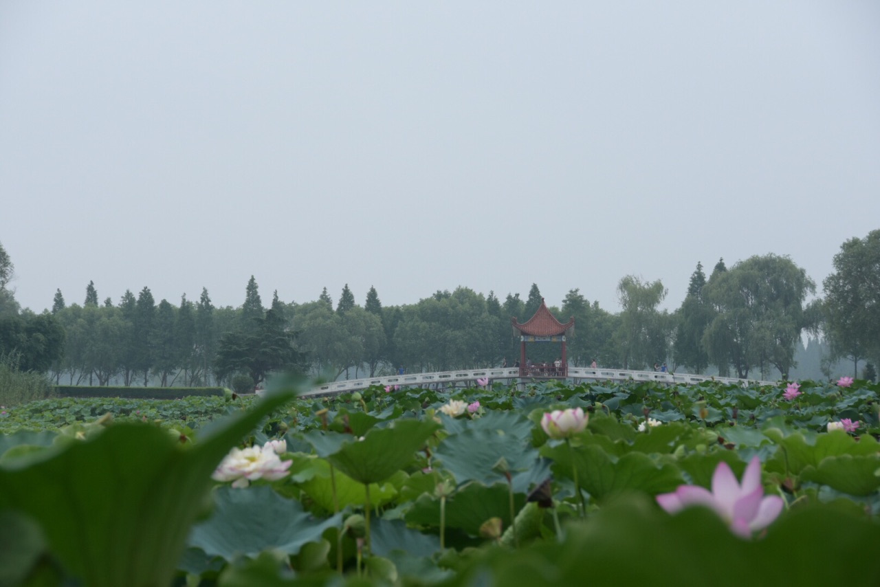 洪湖生态旅游风景区旅游景点攻略图