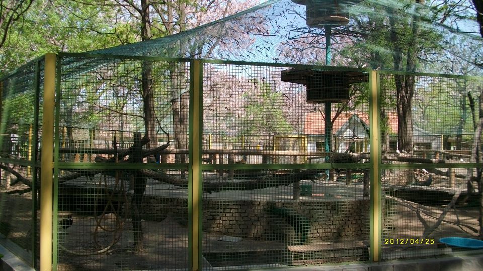 北京动物园旅游景点攻略图